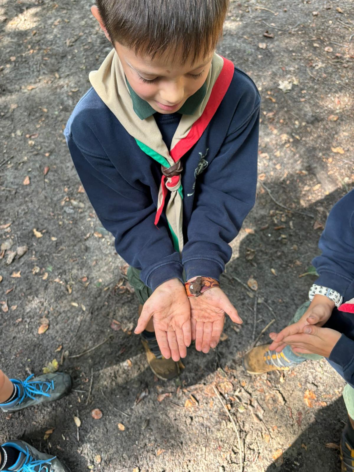 Sint-Martinus den XIIde - Opening 2024